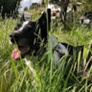 Meet your Posher, Maya